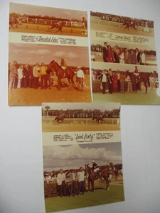 3 Winners Photos Florida Downs 1978-81', Braided Edge, Good Gerty, Spring Triple - Picture 1 of 8