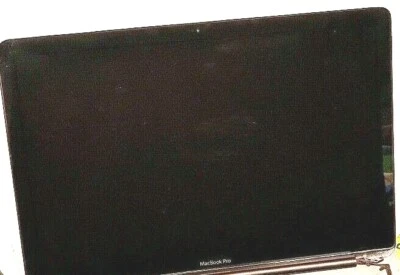APPLE MACBOOK PRO 15" A1286 MID 2010 SCREEN LCD LED DISPLAY COMPLETE EMC 2353 - Image 1 of 4