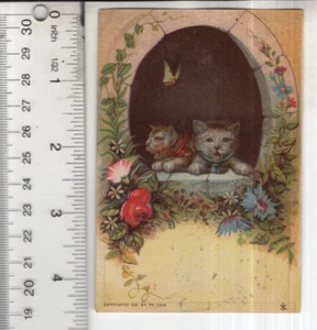 Kittens At Floral Window Blank Victorian Trade Card 3"x5" VTC-XG59 - Imagen 1 de 2