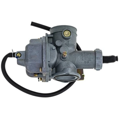 Carburador de nicho para Honda Sportrax 250 TRX250EX TRX250X 16100-HN6-A31 2006-2014 Foto 1 de 4