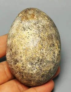 Polished dinosaur bone petrified agatized specimen Gem Stone Sphere Palm Healing - Picture 1 of 10