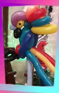 ☆ Parrot☆ Balloon☆ in a Box☆ Jungle☆ - Picture 1 of 4