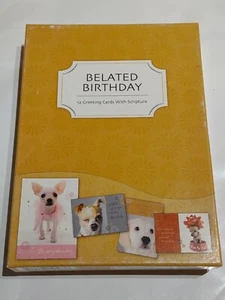 Belated Birthday Playful Pals Cards Christian Inspirations box of 12 Cards - Picture 1 of 3