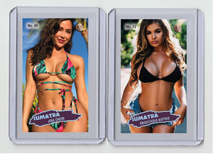 Ana Cheri rare MH Sumatra #'d 2/3 Tobacco card no. 69