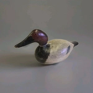 Antique Evans Ladysmith Wisconsin - Canvasback Drake Solid Body Duck Decoy - Picture 1 of 20