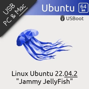 CLÉ USB LINUX UBUNTU 22.04.2 JAMMY-JELLYFISH CLEF BOOTABLE LIVE & INSTALL DRIVE - Photo 1/8