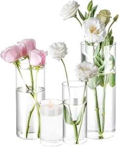 4 Pack Glass Cylinder Vases 4,6,8,10 Inch Tall Clear Flower Vase Hurricane Float - Picture 1 of 5