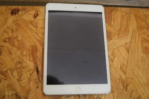 Apple iPad mini 2nd Generation - Picture 1 of 4