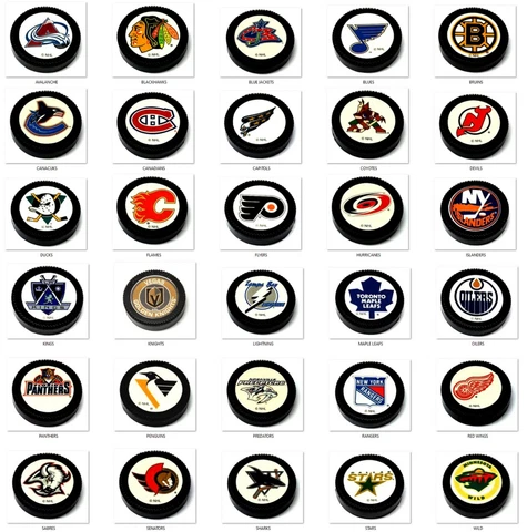 NHL HOCKEY PUCK OFFICALLY LICENSED 2" WIDE NEW MINI PUCK CHARM DOCORATION GIFT Cover