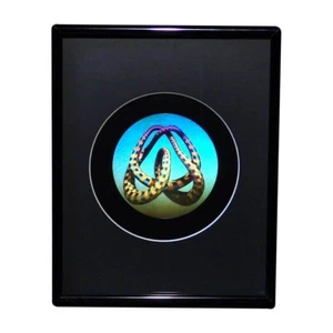 3D Mobius Loop Color Tuned Hologram Picture FRAMED, Collectible Embossed Type - Picture 1 of 7