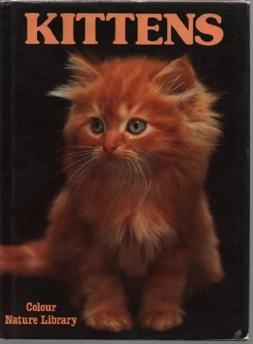 KITTENS. 0906558093 - Image 1 of 1