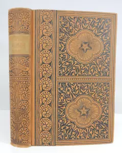 Robinson Crusoe by Daniel De Foe Advance Edition Donohue Henneberry ca 1890's - Picture 1 of 7