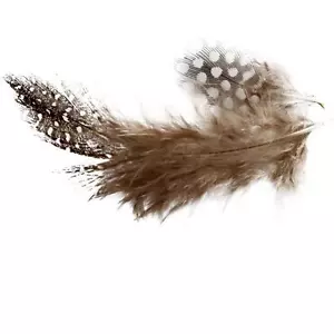 100 x Plumas de Ave de Guinea Accesorios Artesanales Decoración Buena Calidad Natural 3g - Imagen 1 de 1