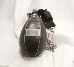 Everlast speed bag, vintage, chain length 20 in, bag weight 6 lbs 5oz - Picture 1 of 14