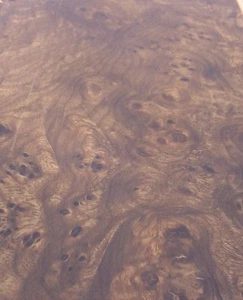 Karpaten Ulme Wurzelholz Furnier 9" x 10" ohne Unterlage Rohfurnier AAA-Qualität - Bild 1 von 2