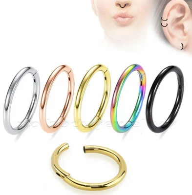 Hinged Seamless Segment Ring Cartilage Nose Hoop Labret Earring Septum - Image 1 of 4