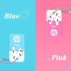 HP V178 Blue/Pink UDisk USB 2.0 Flash Drive Memory 2GB-512GB Storage Device Lot - Picture 1 of 8