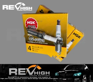 2004+ VZ VE COMMODORE 3.6L V6 Alloytec NGK spark plugs platinum LY7 LE0 - Bild 1 von 1