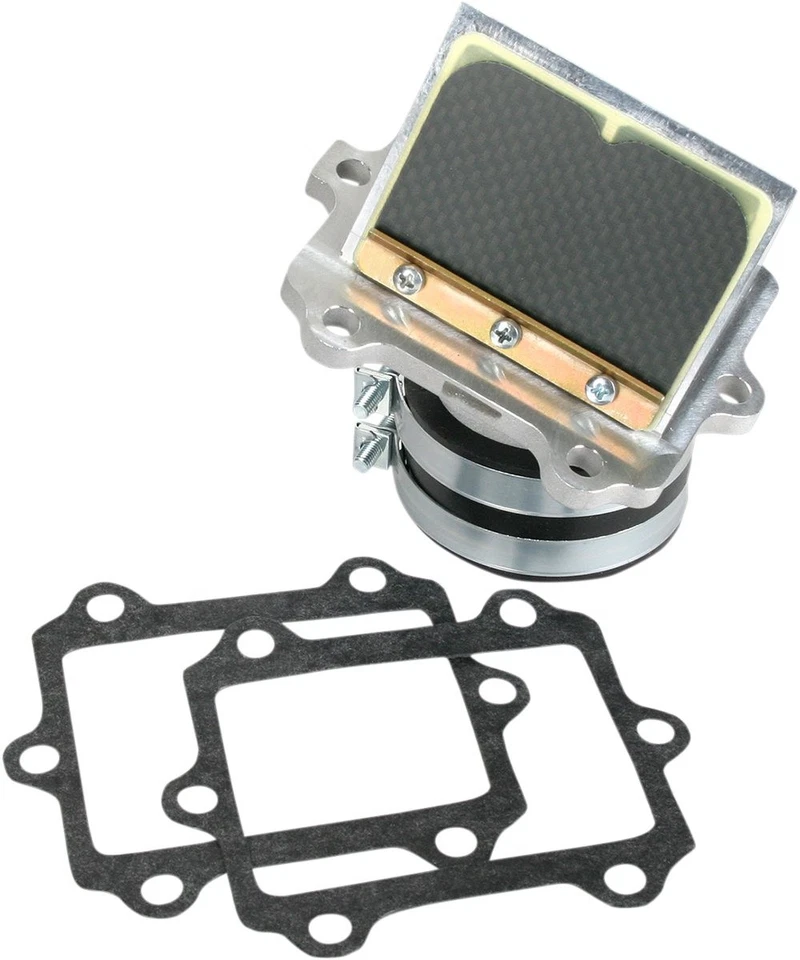 Conjunto de válvula Boyesen RAD (RAD-24) Foto 1 de 1