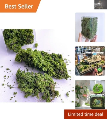 Arbustos miniatura transformadores hágalo usted mismo para paisajes creativos y paisajes Foto 1 de 4