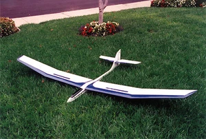 SAGITTA 900 Sailplane, and Aquila 100" standar RC Airplane PDF Plans on a CD - Picture 1 of 4