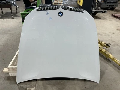 Hood Panel Titanium Grilles Alpine White 300 Fits 07-13 BMW X5 855194 Foto 1 de 4