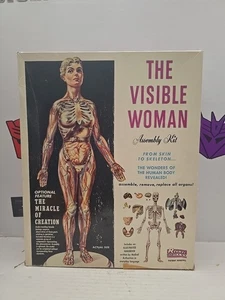 Vintage 1960 The Visible Woman Assembly Kit - Picture 1 of 6