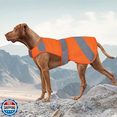 Orange High Visibility Safety Dog Vest, Hunting Jacket, Adjustable Soft Refle - Image 1 of 4