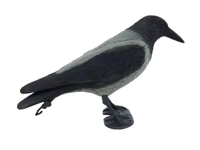 Hooded Crow Flocked Full Body Decoy Highest Quality Decoy Flocking and Paintwork - Image 1 of 2