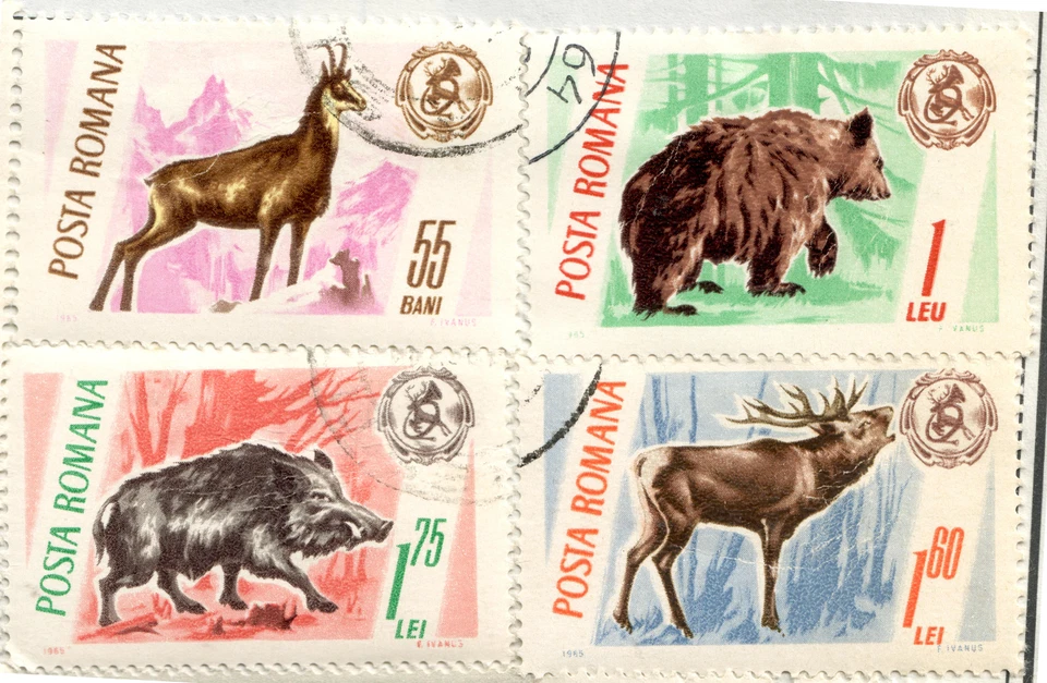 Rumanía - Animales y trofeos de juego 1965 Foto 1 de 1