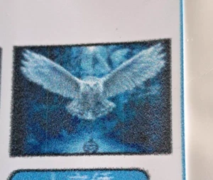 Counted Cross Stitch Kit Owl C002 - Picture 1 of 4