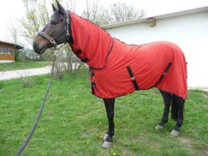 MICROFLEECE-ABSCHWITZDECKE mit HALSTEIL Kreutzbegurtung NEU 125 cm Rot - Bild 1 von 1