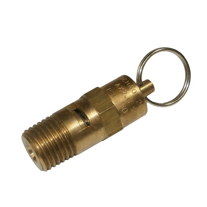 Válvula de alivio de repuesto original Ryobi H301PL - 079027004115 Foto 1 de 1