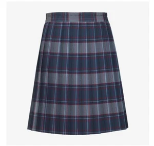 Dennis Junior Plaid Skirt, Knife Pleat Skirt Fits A Size 10 24-26 inches, blue - Picture 1 of 2