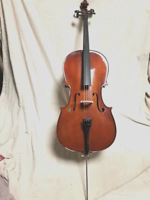 Violonchelo 1/2 usado, estuche blando, arco, Palatino 450-1/2 Foto 1 de 4