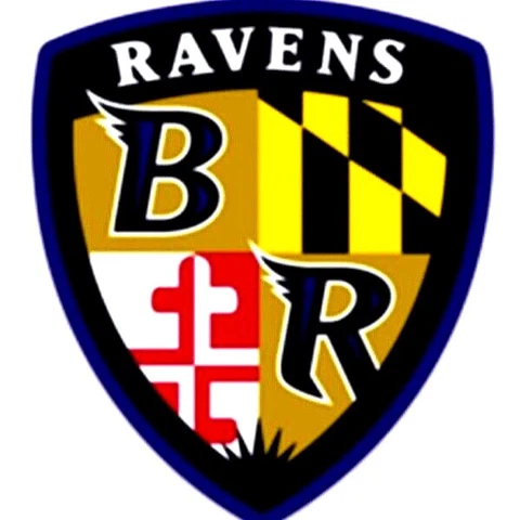 Baltimore Ravens Shield Logo Type NFL Football Die-cut MAGNET Cover