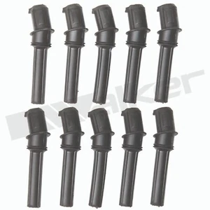 Walker Products ThunderCore® Ultra Coil on Plug Boots 900-P2029-10 - Bild 1 von 1