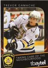 Trevor Gamache 2013-14 Lakehead Thunderwolves