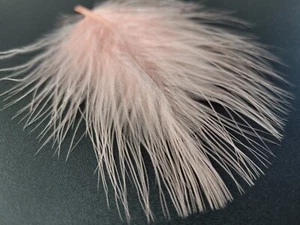 MARABU BLOOD QUILLS - Fliegenbindefedern - CHAMPAGNER - Woolly Bugger - 12 Stück - Bild 1 von 1