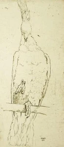 MARTIN ERICH PHILIPP - MEPH - Gereizter Kakadu - Radierung 1920 - Picture 1 of 3
