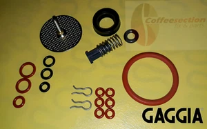 Juego de piezas Saeco Gaggia - Kit de reparación para titanio, titanio plus, magia, encanto - Imagen 1 de 3