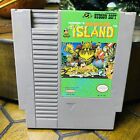 Adventure Island (Nintendo Entertainment System, 1988)