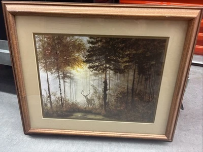 Джеральд Колсон «Тихий лес» подписанный и в рамке - Изображение 1 из 4