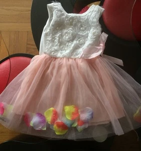 Flower/Petals,Lace Baby Girl Princess Party Wedding Tulle Tutu Dress Sz12-18 Mos - Picture 1 of 5