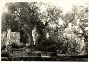 COSA (Orbetello), Grosseto - Villa Romana - FOTOGRAFIA Cm. 8,00 X 12,50 ca. - Picture 1 of 2