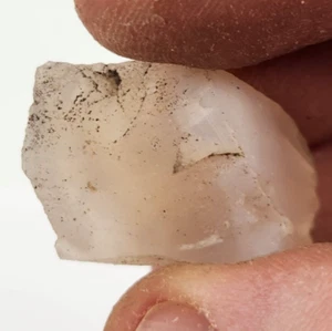 Agatized Petrified Wood Piece - Oregon - Miocene (?) - Fossil - Picture 1 of 5