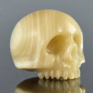 Menschlicher Schädel Perle 13,24 mm geschnitzt irisierend Turbo Muschel vertikal gebohrt 2,76 g - Bild 1 von 14