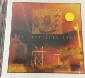 TREY GUNN BAND- THE JOY OF MOLYBDENUM  *CD  NEW *NOT SEALED- NUOVO NON SIGILLATO - Imagen 1 de 4