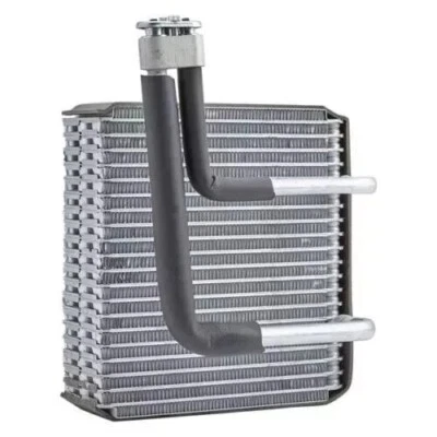 Conjunto de núcleo de evaporador de aire acondicionado delantero Santa Fe 99-05 Sonata serie XG 01-06 Foto 1 de 2