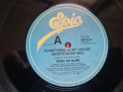 Something in my house    Dead or alive - Image 1 of 4